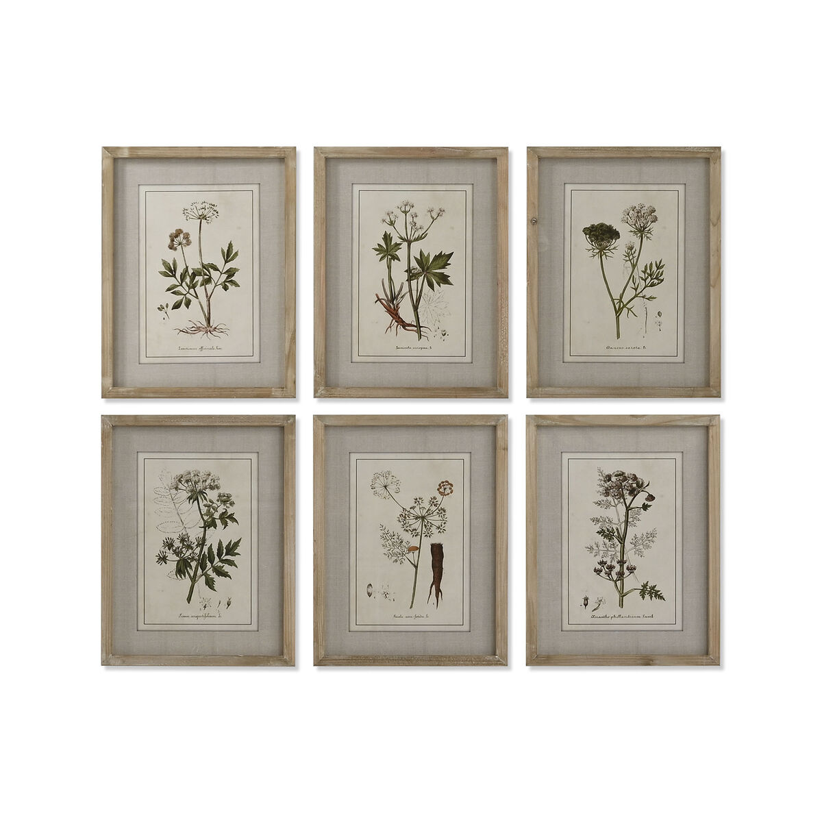Cuadro Home ESPRIT Shabby Chic Plantas botánicas 30 x 2 x 40 cm (6 Unidades)