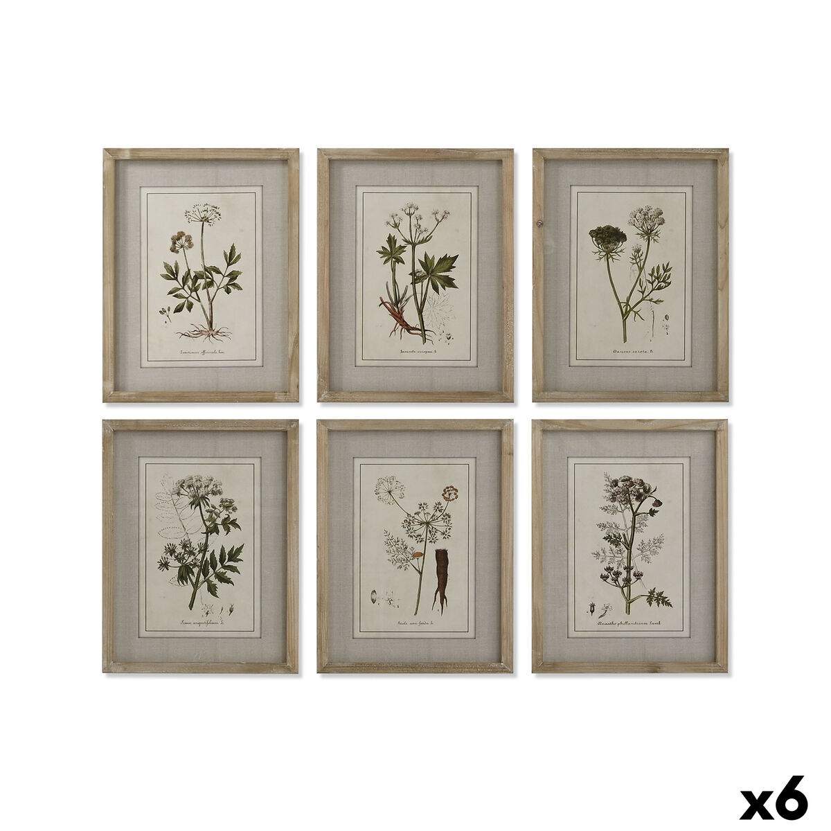 Cuadro Home ESPRIT Shabby Chic Plantas botánicas 30 x 2 x 40 cm (6 Unidades)