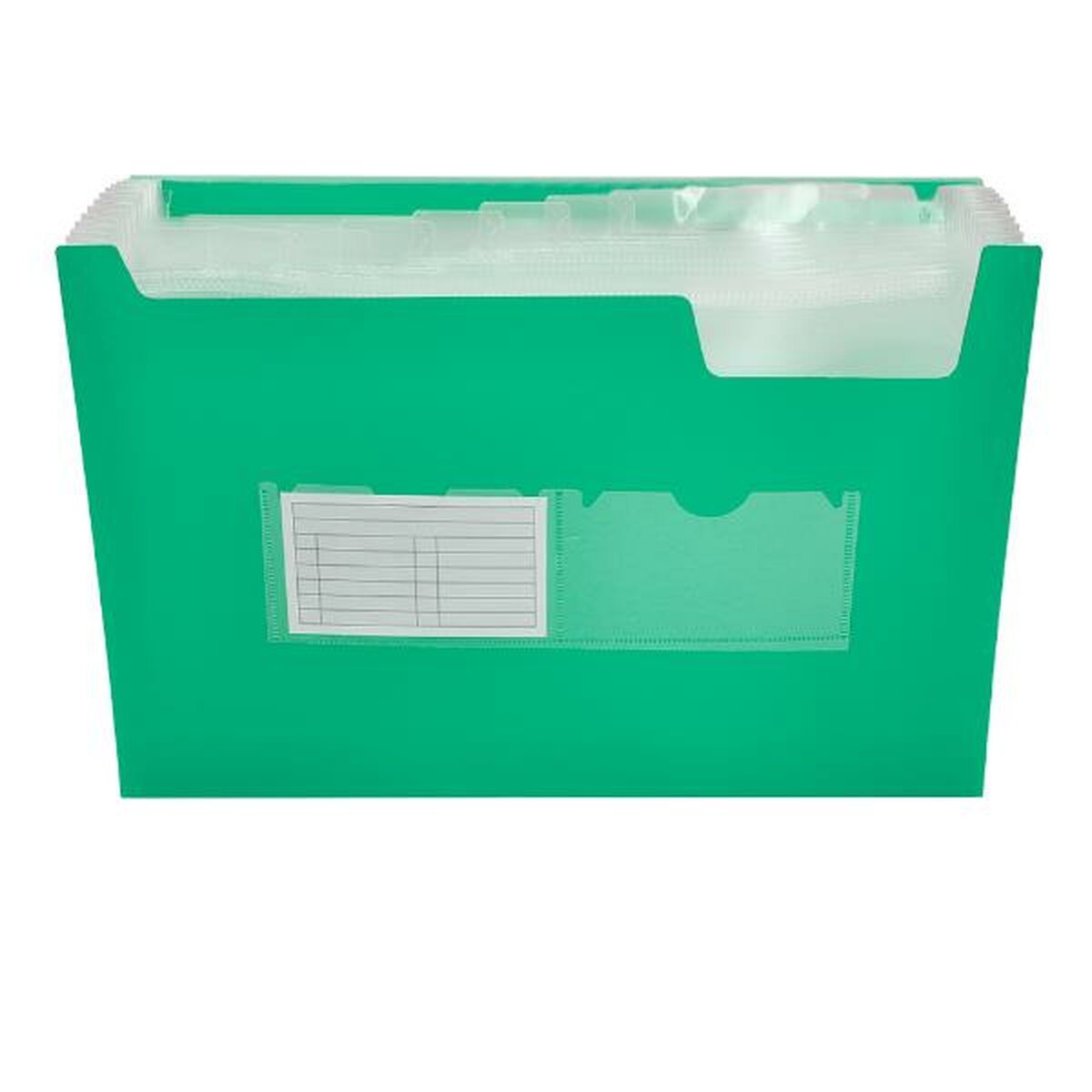 Carpeta Clasificadora Liderpapel FU13 Verde A4