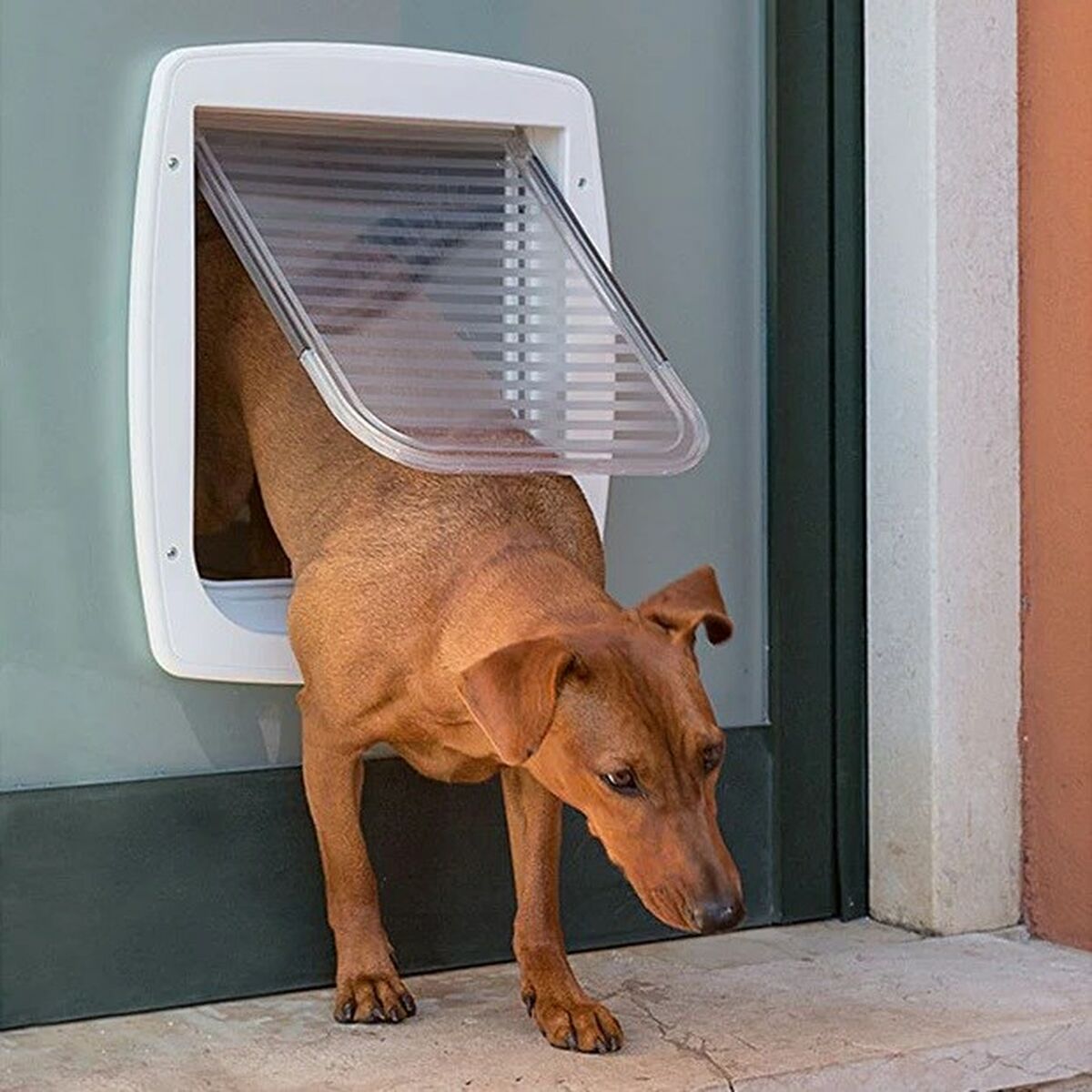 Gatera Ferplast Swing Gris