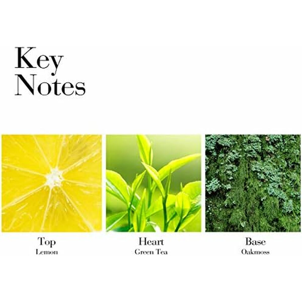 Crema Corporal Hidratante Elizabeth Arden GREB40034