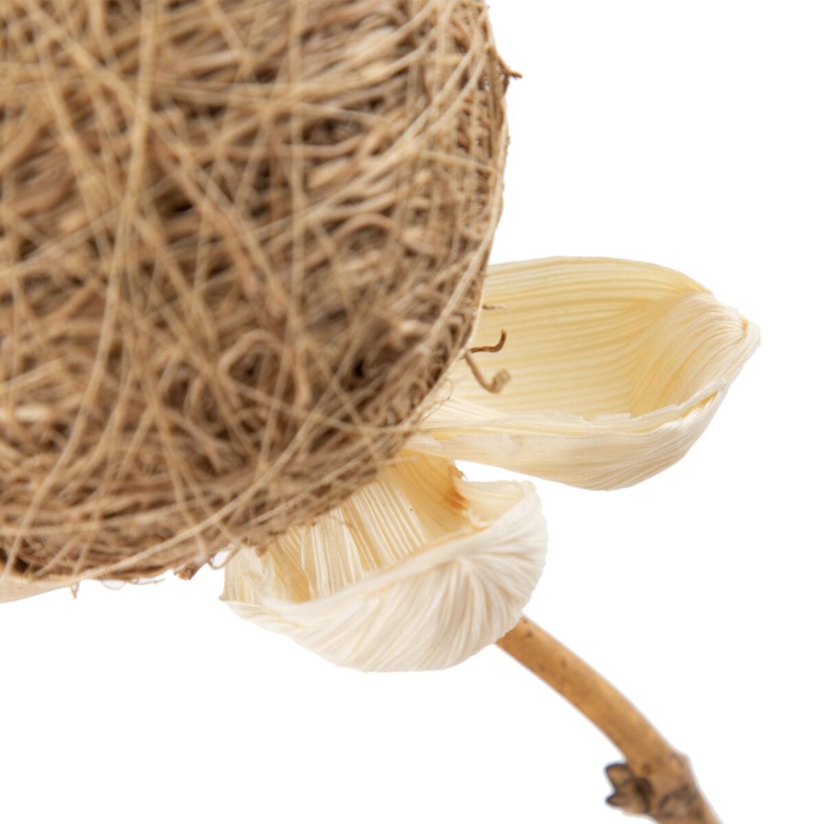 Rama Beige Bambú Fibra natural Flor 8 x 8 x 156 cm