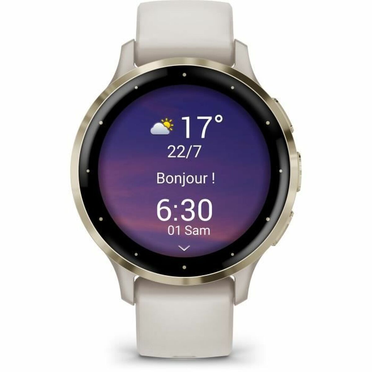 Smartwatch GARMIN Venu 3S Gris 1,2"