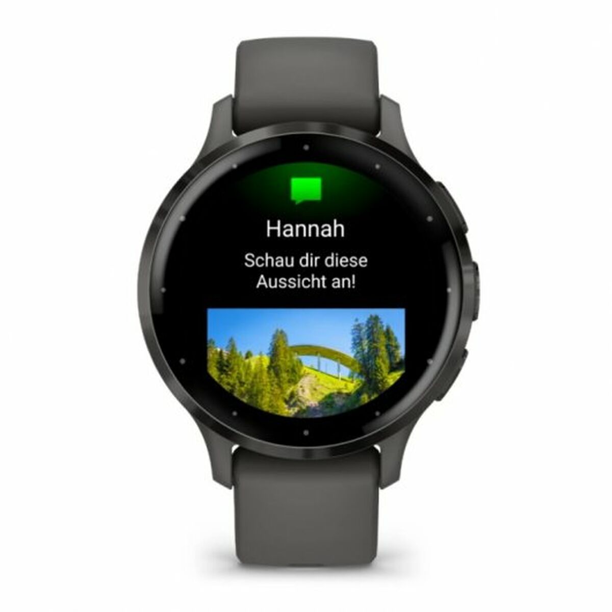 Smartwatch GARMIN Venu 3S Gris 1,2"