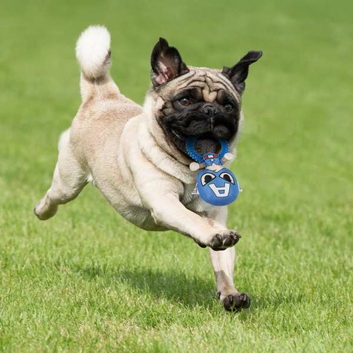 Juguete para perros The Avengers