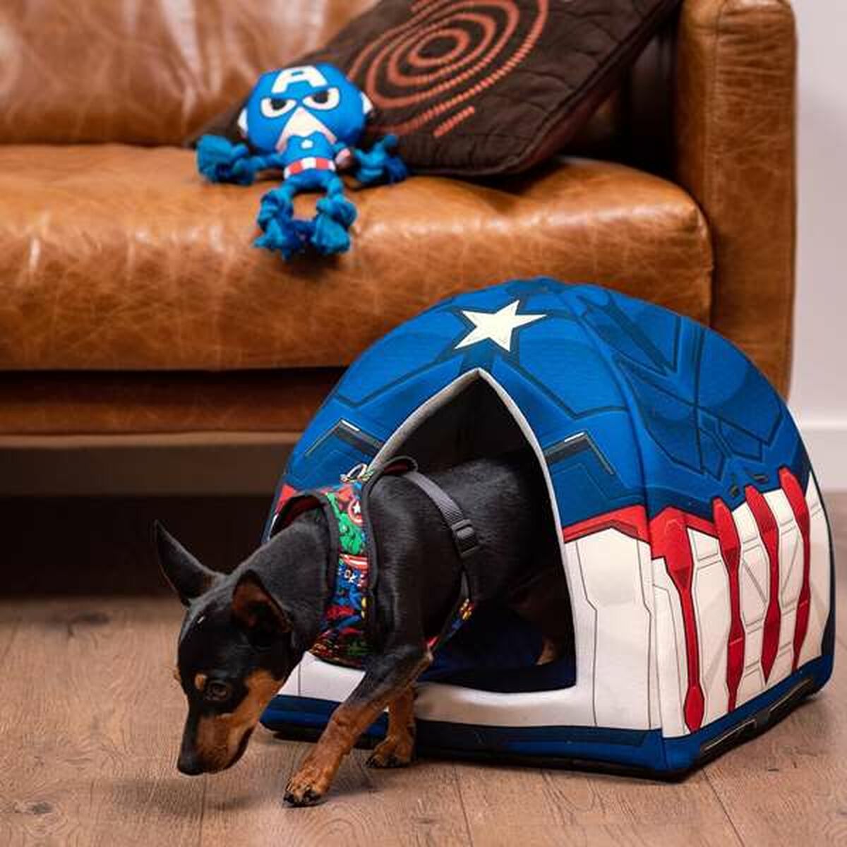Juguete para perros The Avengers