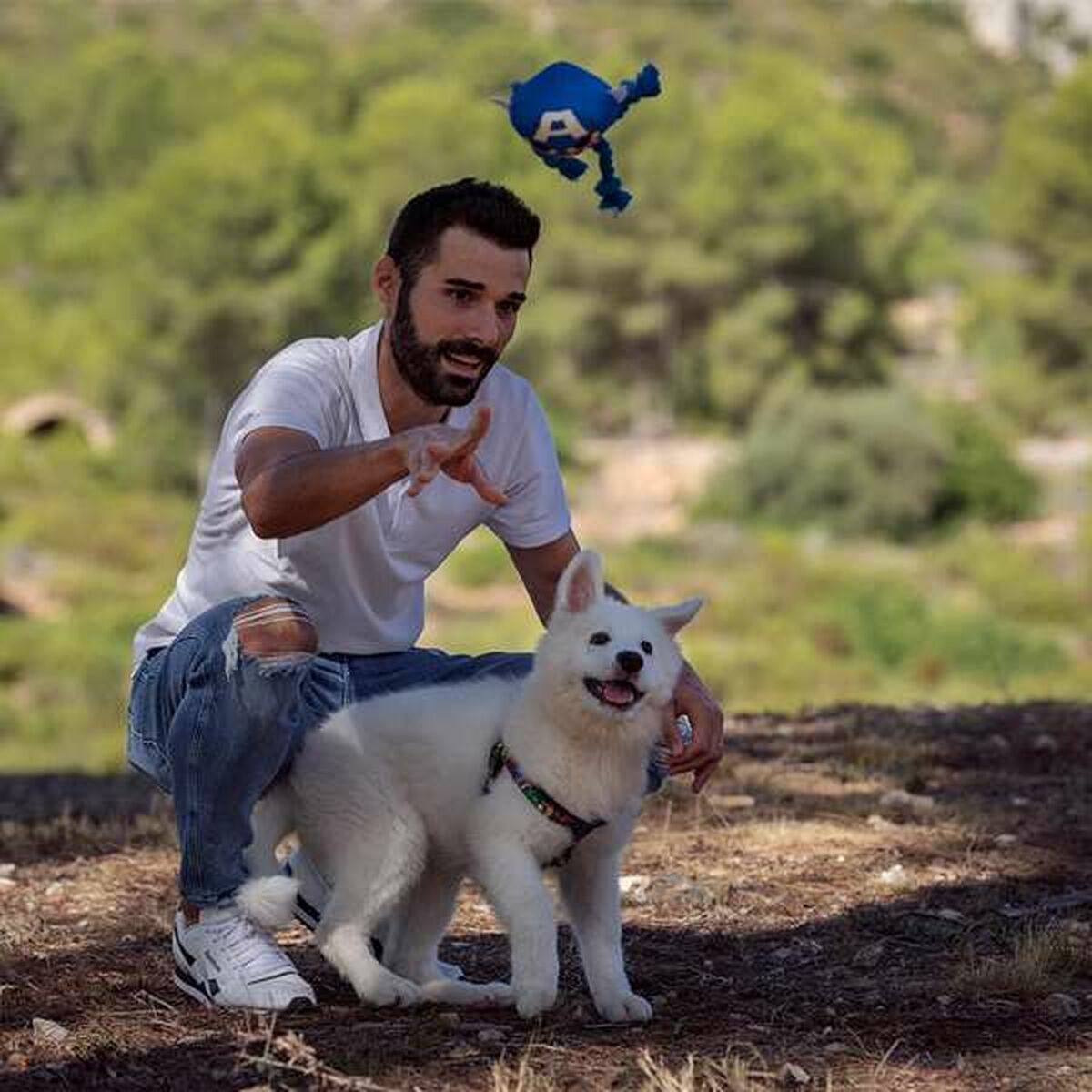 Juguete para perros The Avengers