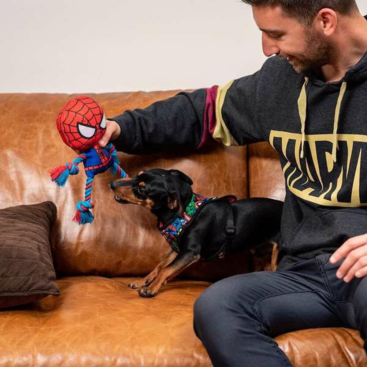 Juguete para perros Spider-Man