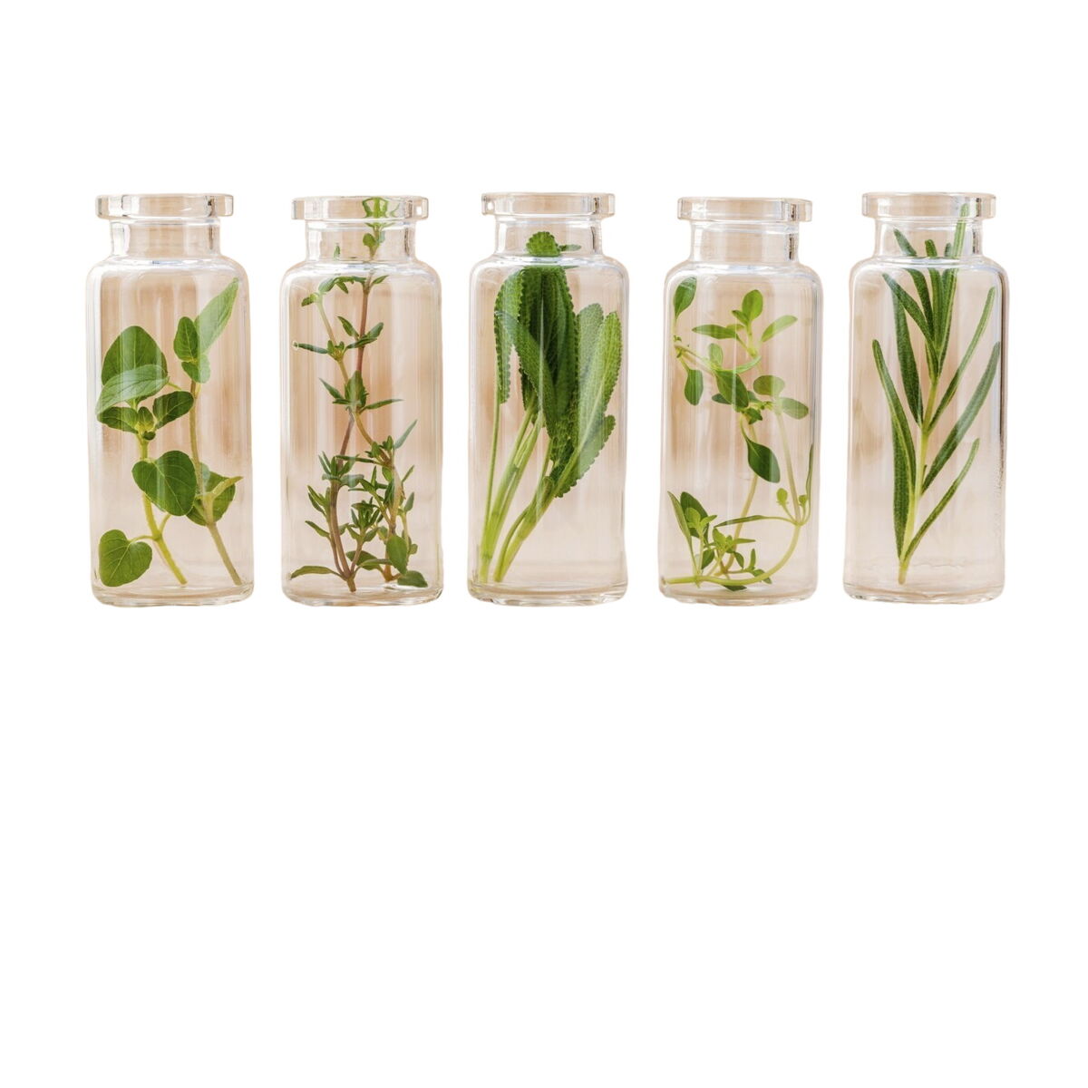 Crema para Tratar las Varices 500 Cosmetics Varesil 100 ml