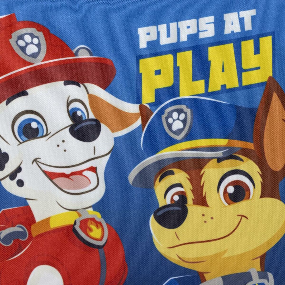 Portameriendas The Paw Patrol Azul 22,0 x 20,0 x 7,0 cm