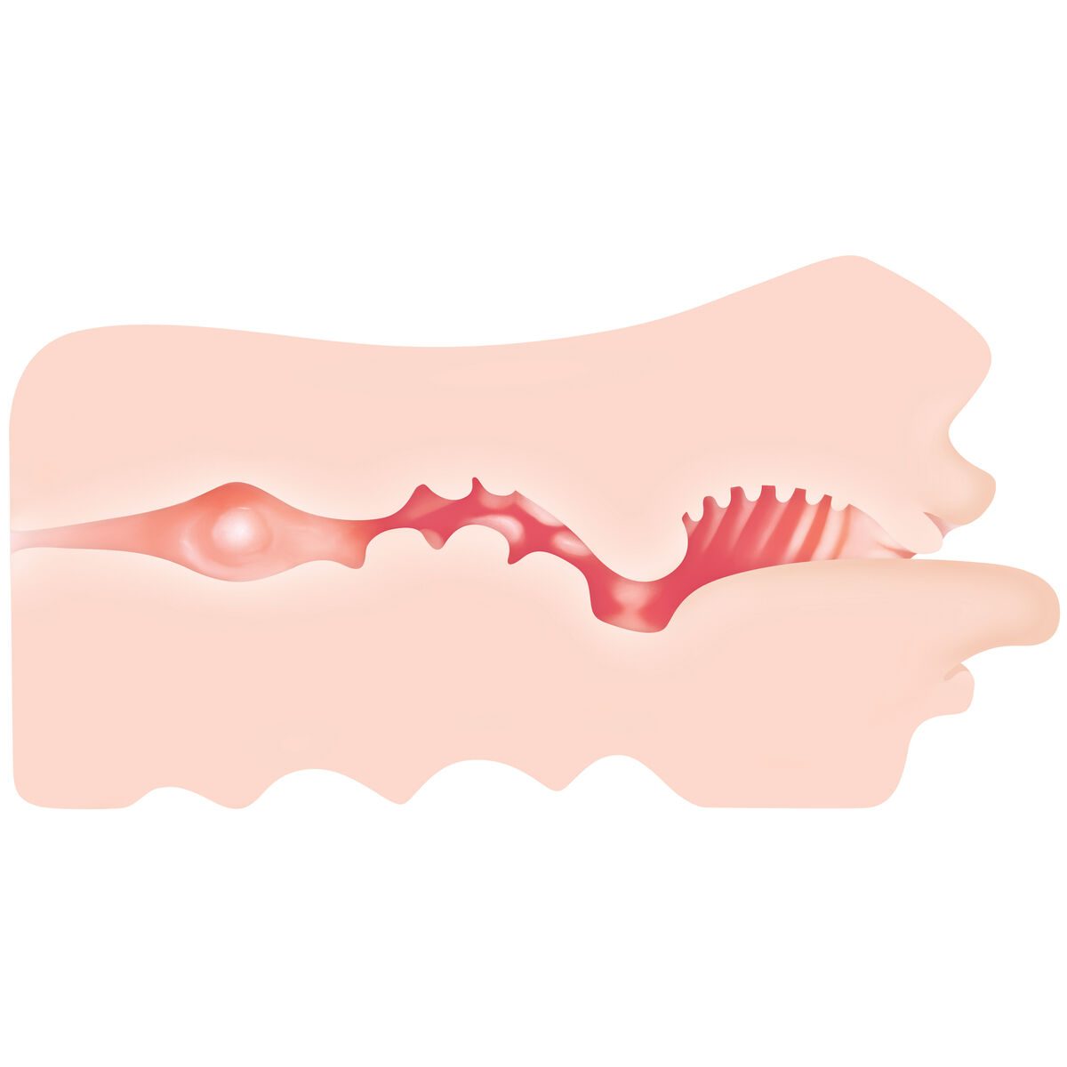 Masturbador Masculino Zero Tolerance Zero Tolerance Carne