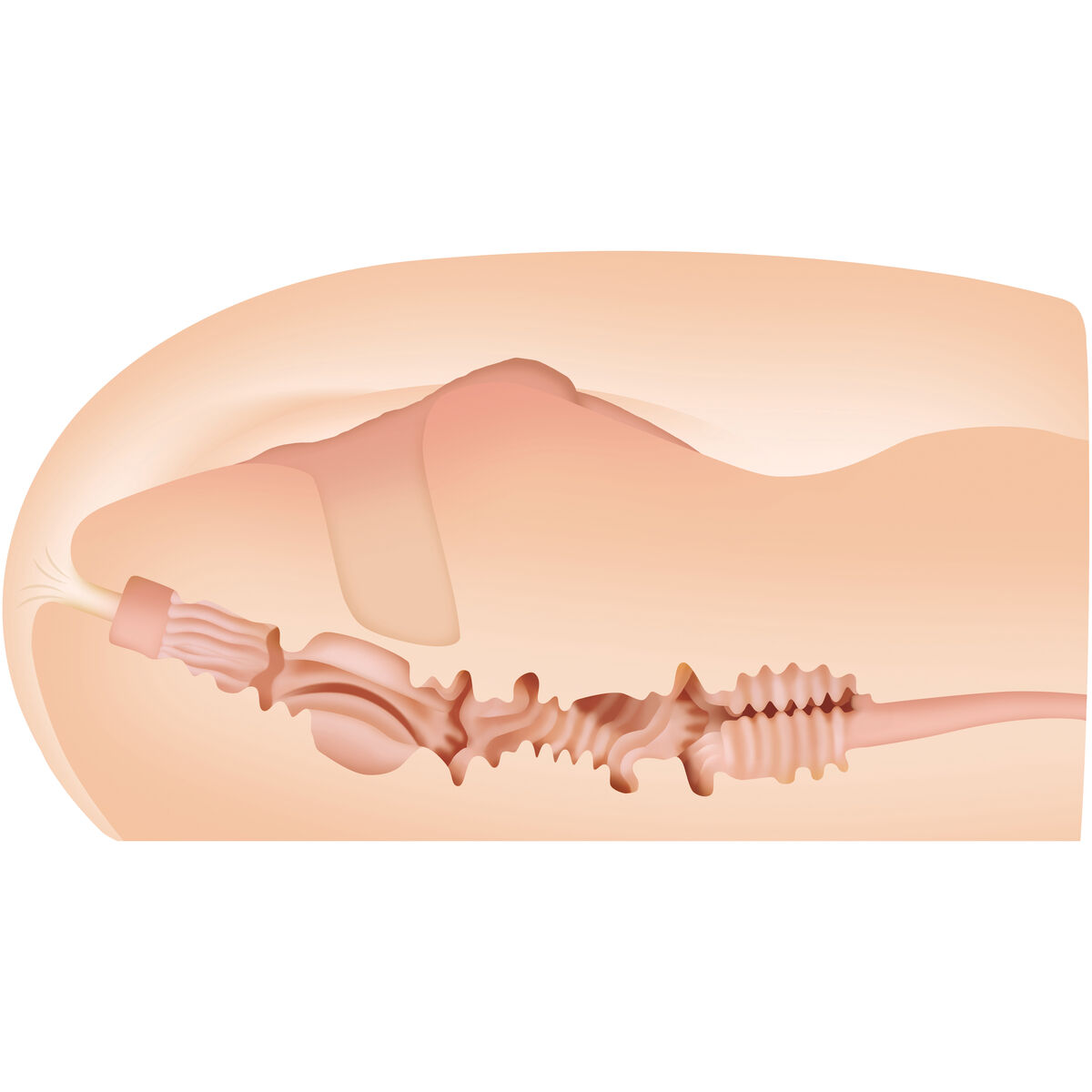 Masturbador Masculino Zero Tolerance Zero Tolerance Carne