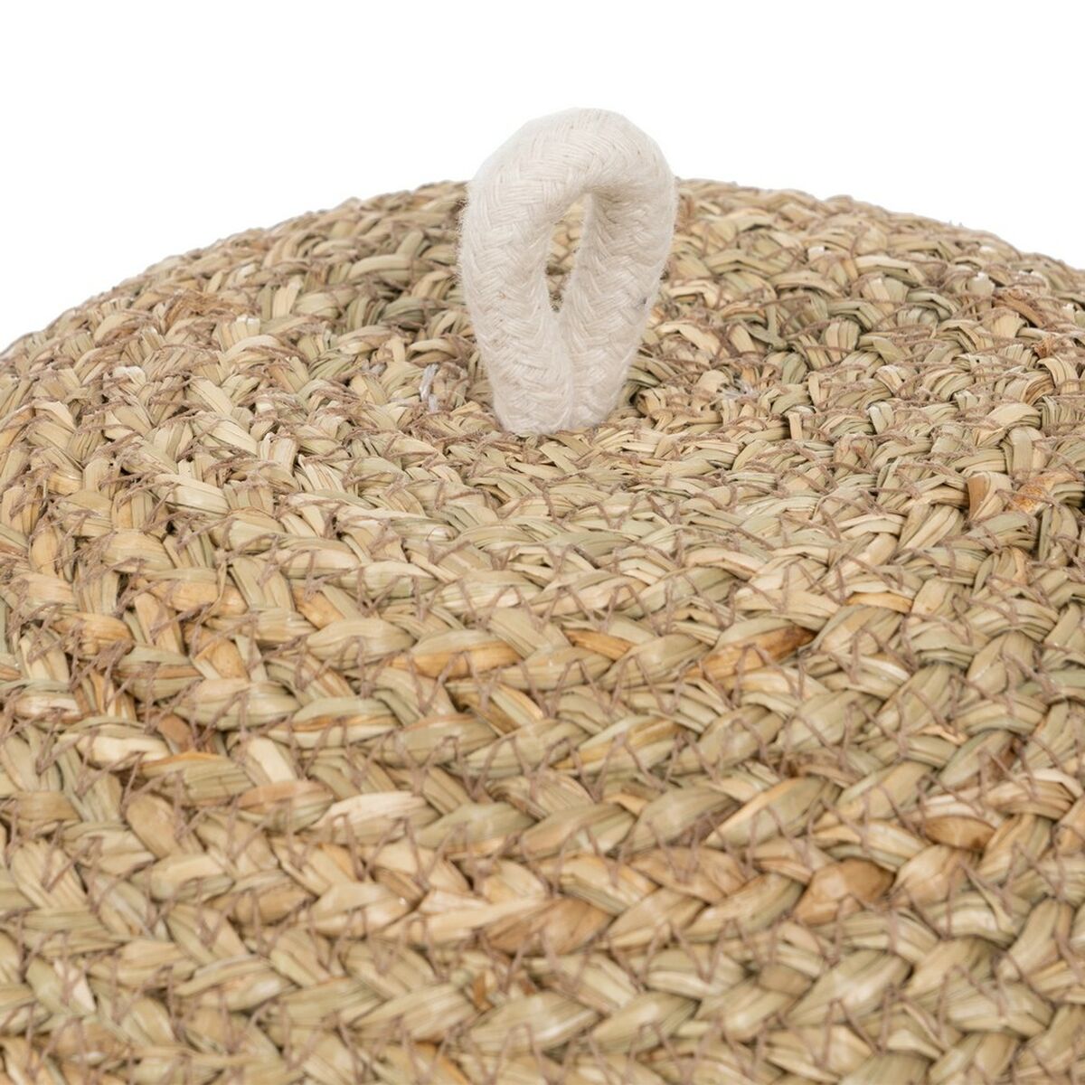 Cubreplatos 35 x 35 x 28 cm