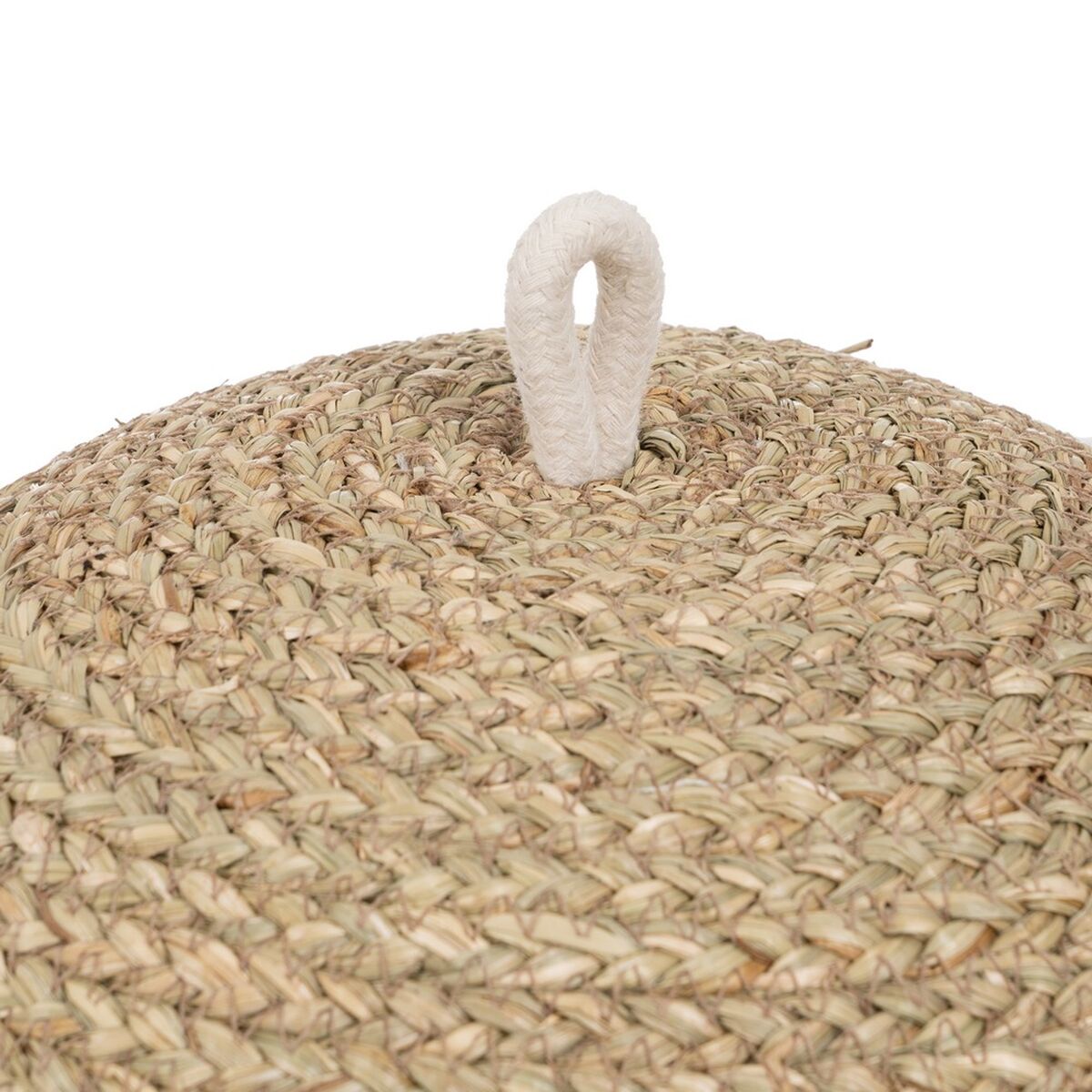 Cubreplatos 40 x 40 x 26 cm