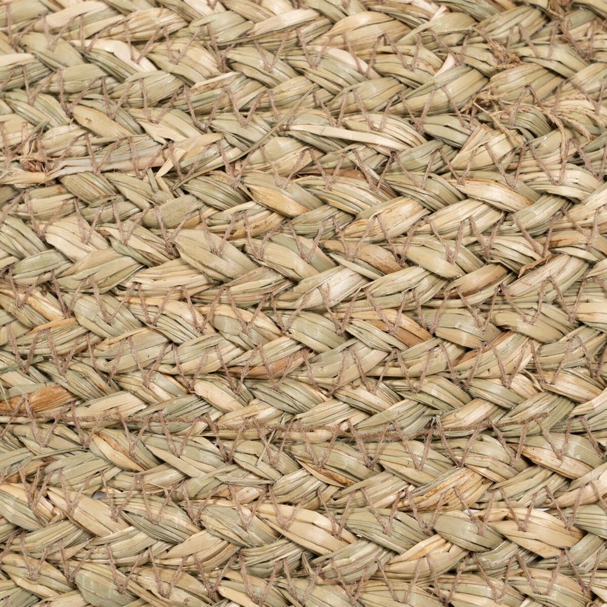 Cubreplatos 40 x 40 x 26 cm