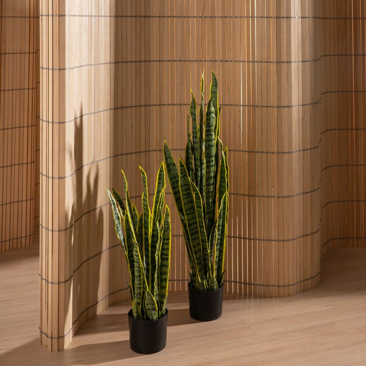 Planta Decorativa Goma Polipropileno 20 x 20 x 80 cm